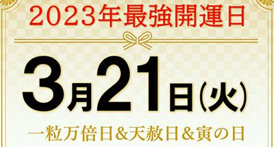 2023年新しい人気財布セール最大32%OFF!【数量限定】早い者勝ち♡