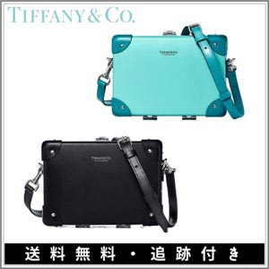 {先到先得}ティファニー ショルダーバッグ コピー Tiffany♦Mini Caseトランク型